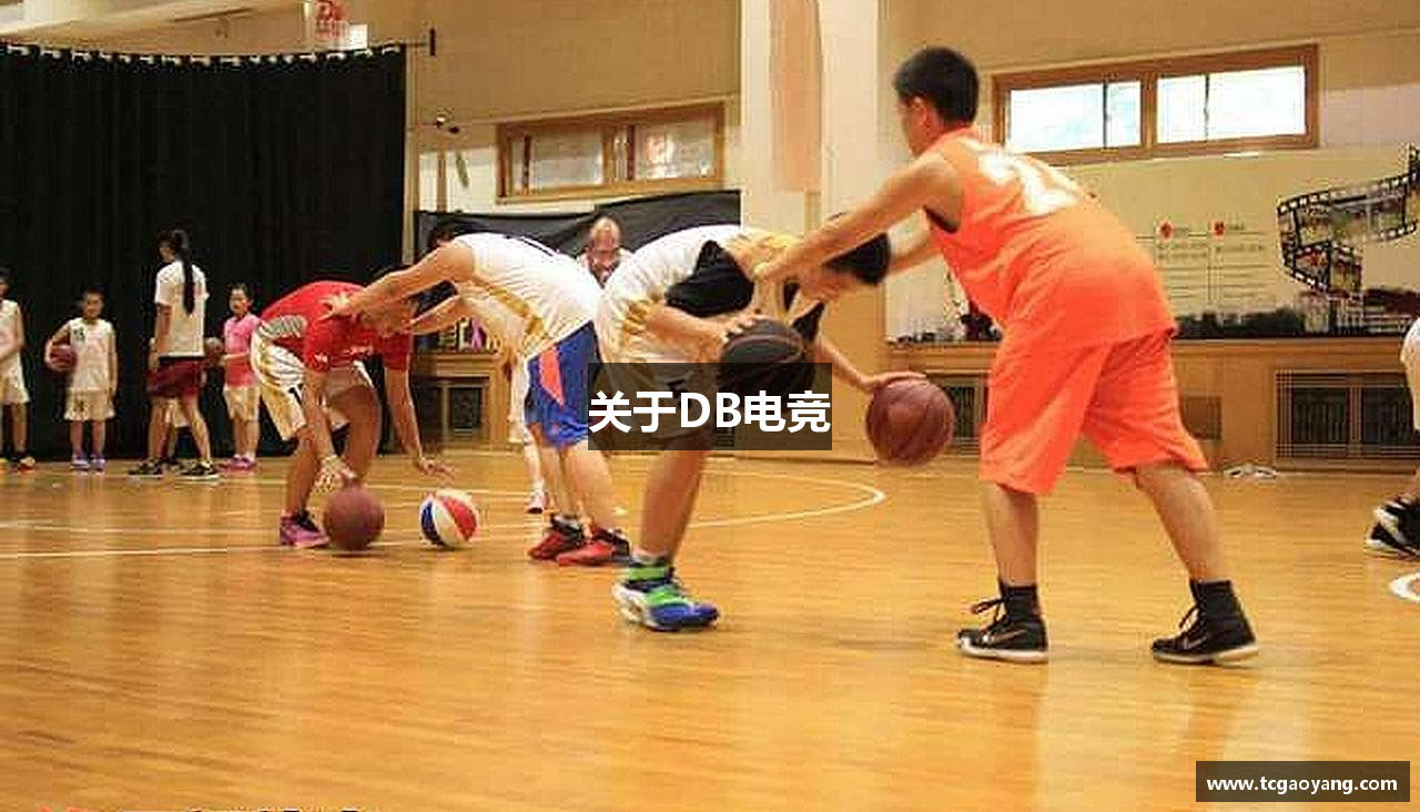 关于DB电竞